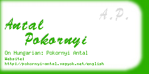 antal pokornyi business card